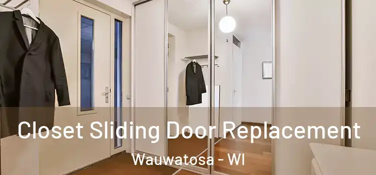 Closet Sliding Door Replacement Wauwatosa - WI