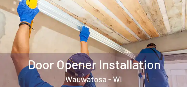  Door Opener Installation Wauwatosa - WI