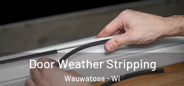 Door Weather Stripping Wauwatosa - WI
