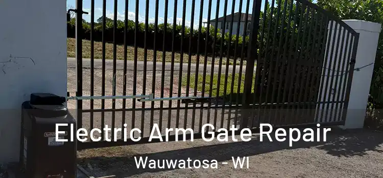 Electric Arm Gate Repair Wauwatosa - WI