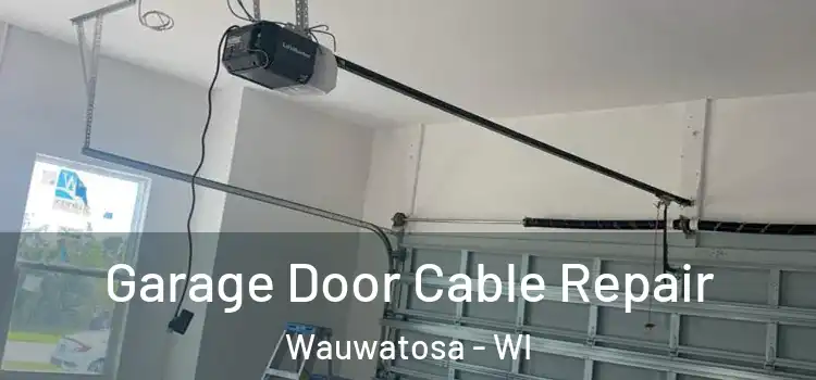  Garage Door Cable Repair Wauwatosa - WI