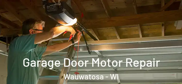  Garage Door Motor Repair Wauwatosa - WI