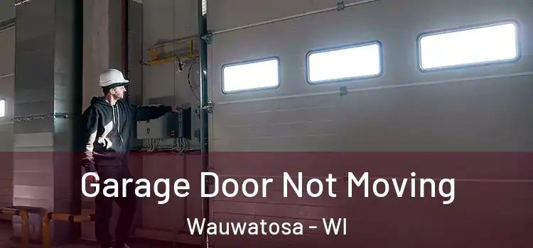  Garage Door Not Moving Wauwatosa - WI