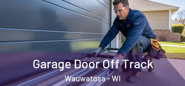  Garage Door Off Track Wauwatosa - WI