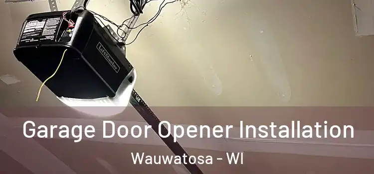  Garage Door Opener Installation Wauwatosa - WI