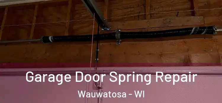  Garage Door Spring Repair Wauwatosa - WI