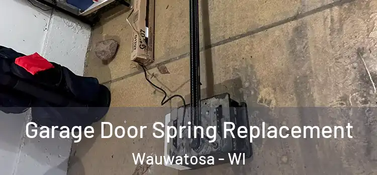  Garage Door Spring Replacement Wauwatosa - WI