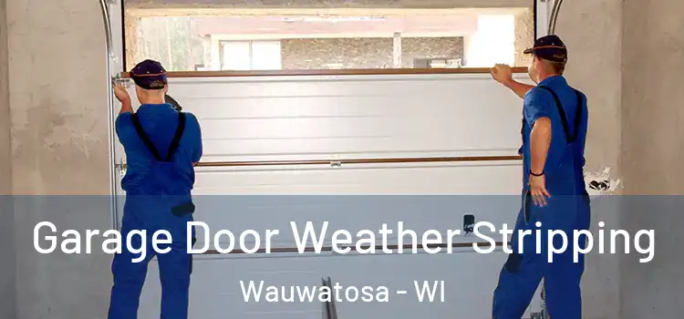  Garage Door Weather Stripping Wauwatosa - WI