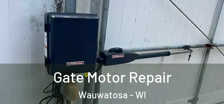 Gate Motor Repair Wauwatosa - WI
