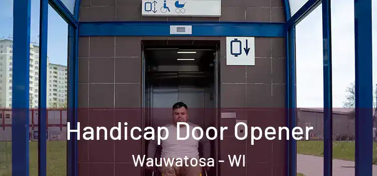 Handicap Door Opener Wauwatosa - WI
