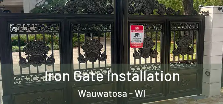  Iron Gate Installation Wauwatosa - WI