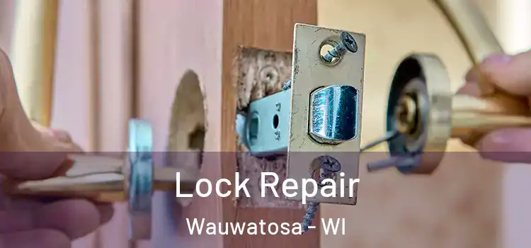 Lock Repair Wauwatosa - WI
