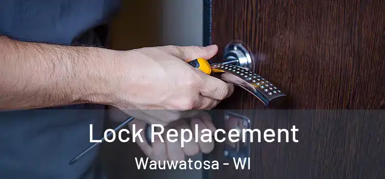 Lock Replacement Wauwatosa - WI