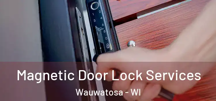  Magnetic Door Lock Services Wauwatosa - WI