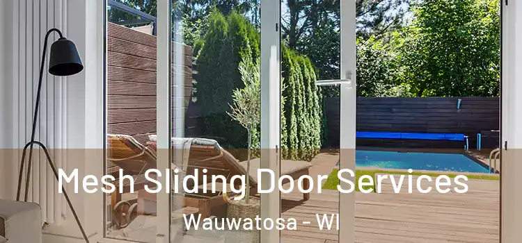 Mesh Sliding Door Services Wauwatosa - WI