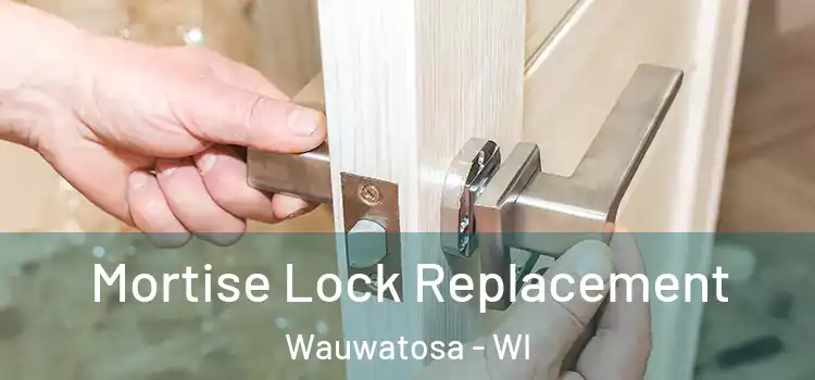 Mortise Lock Replacement Wauwatosa - WI