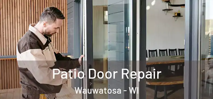  Patio Door Repair Wauwatosa - WI