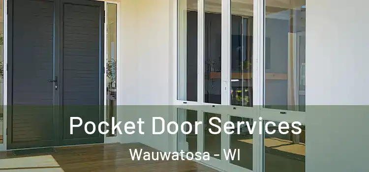 Pocket Door Services Wauwatosa - WI