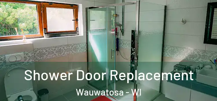  Shower Door Replacement Wauwatosa - WI