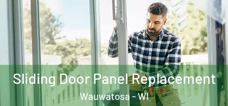  Sliding Door Panel Replacement Wauwatosa - WI