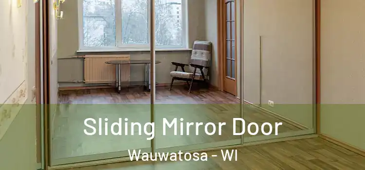  Sliding Mirror Door Wauwatosa - WI